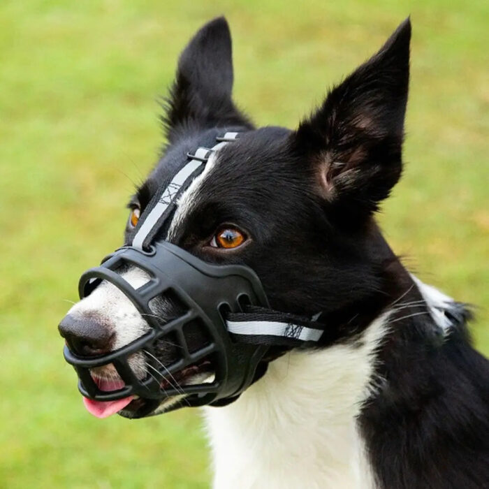 Anti-Biting Adjustable Dog Muzzle Fashion Breathable With Reflective Strip Dog Mouth Cover Plastic Can Drink Water - Image 2