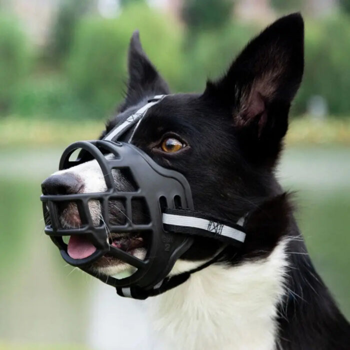 Anti-Biting Adjustable Dog Muzzle Fashion Breathable With Reflective Strip Dog Mouth Cover Plastic Can Drink Water - Image 9