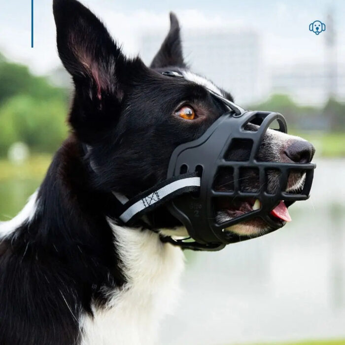 Anti-Biting Adjustable Dog Muzzle Fashion Breathable With Reflective Strip Dog Mouth Cover Plastic Can Drink Water - Image 6