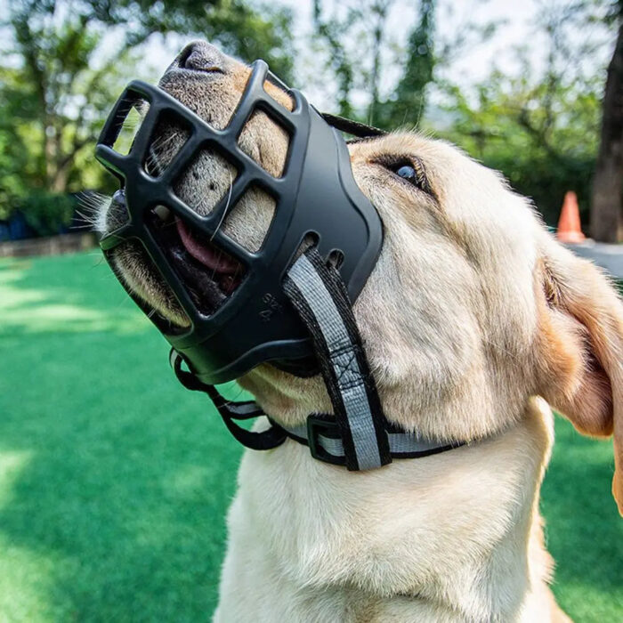 Anti-Biting Adjustable Dog Muzzle Fashion Breathable With Reflective Strip Dog Mouth Cover Plastic Can Drink Water - Image 10
